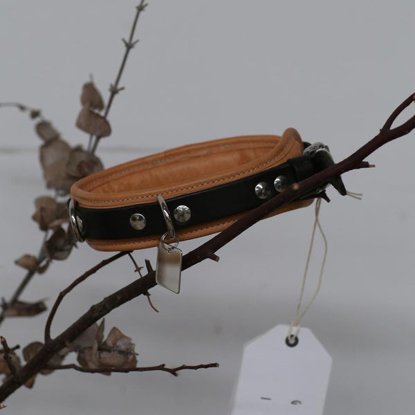 Guidi dog collar CL02 PG3